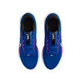 ZAPATILLAS DE RUNNING NIKE DOWNSHIFTER 13 HOMBRE | FD6454-406