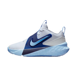 ZAPATILLAS DE BASKETBALL NIKE TEAM HUSTLE D INFANTIL | HF6279-100
