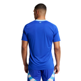 CAMISETA ADIDAS VISITANTE ARGENTINA 2024 HOMBRE IP8413