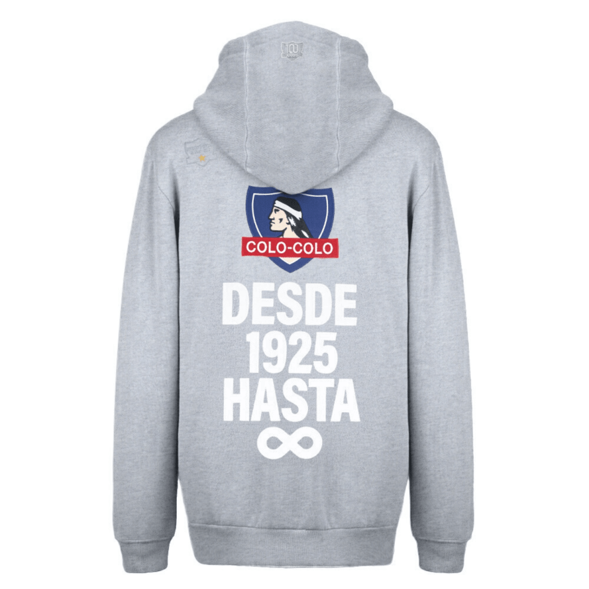 POLERON STREETMACHINE COLO COLO URBANO HOODIE DESDE 1925 | CCPOLI2553GR STREET MACHINE S - RealSport