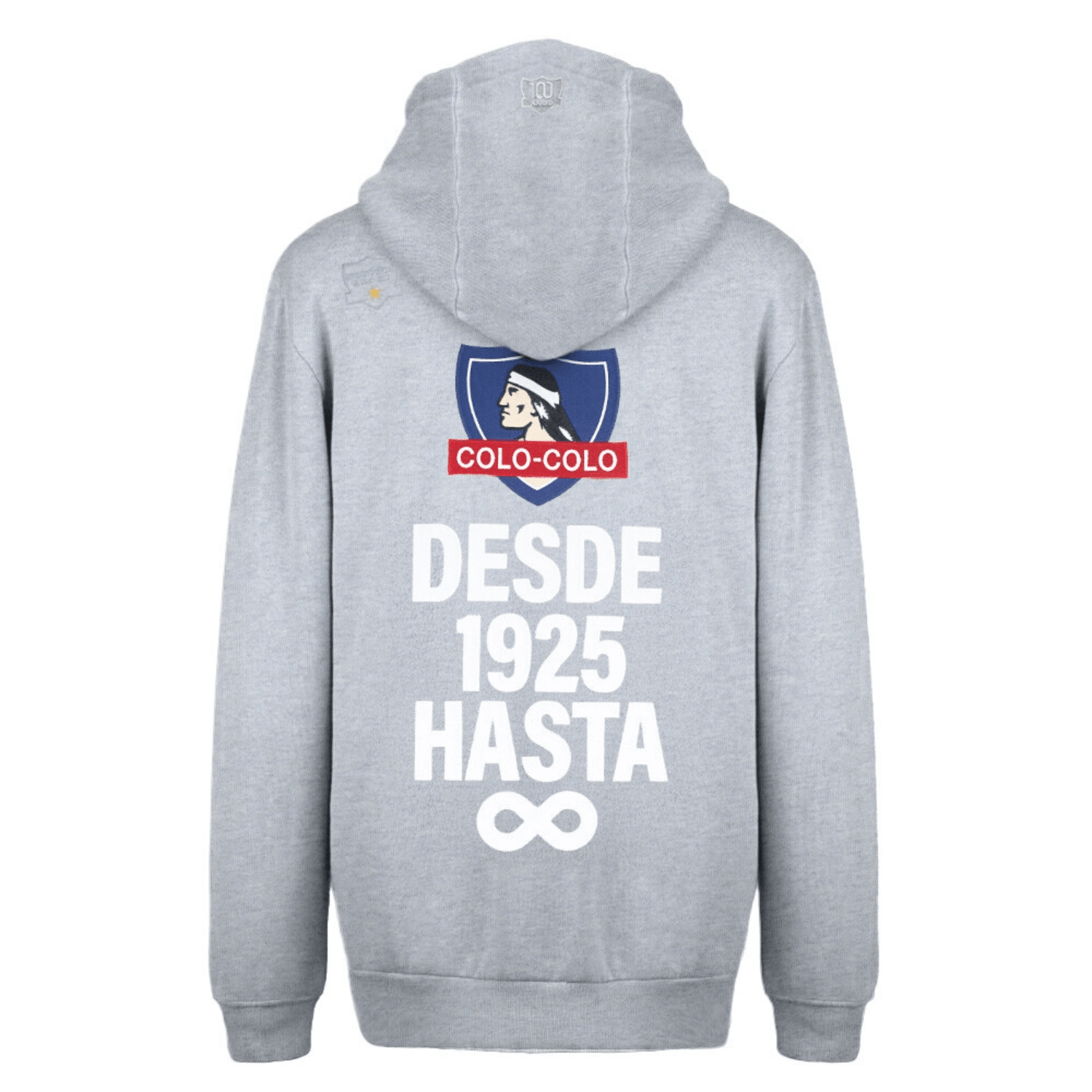 POLERON STREETMACHINE COLO COLO URBANO HOODIE DESDE 1925 | CCPOLI2553GR - RealSport