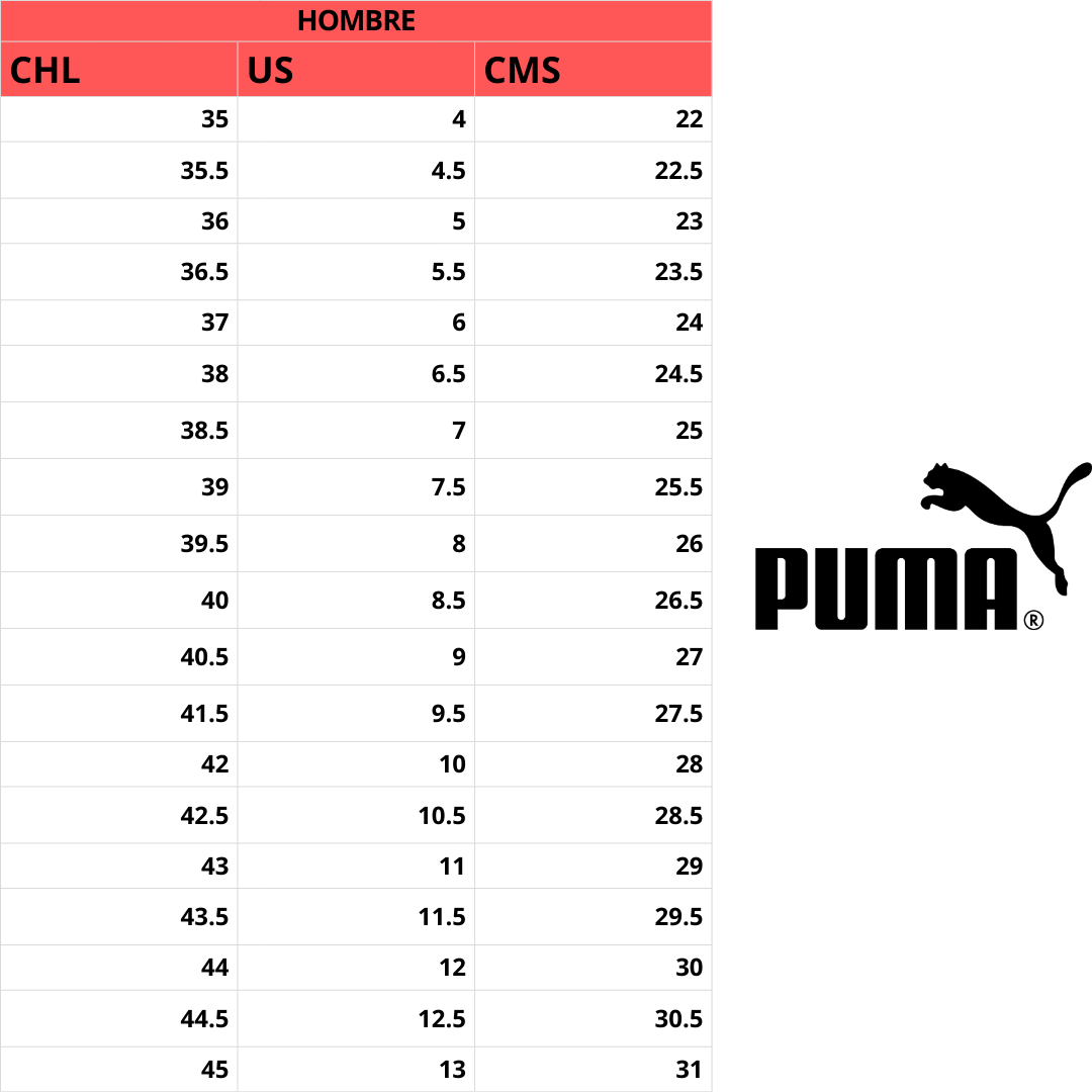 ZAPATILLAS DE RUNNING PUMA MEZA HOMBRE | 312044 08 PUMA 10 - RealSport